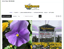 Tablet Screenshot of mayflowersnurserygarden.com